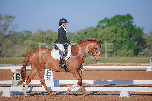 RWP_0370