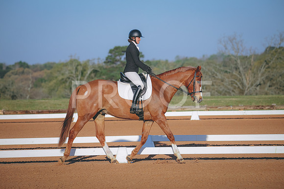 RWP_0373