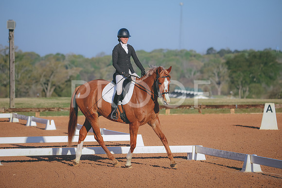 RWP_0376
