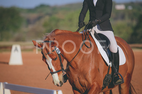 RWP_0381