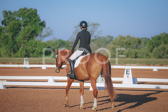 RWP_0383