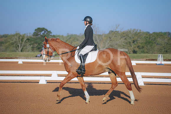 RWP_0385