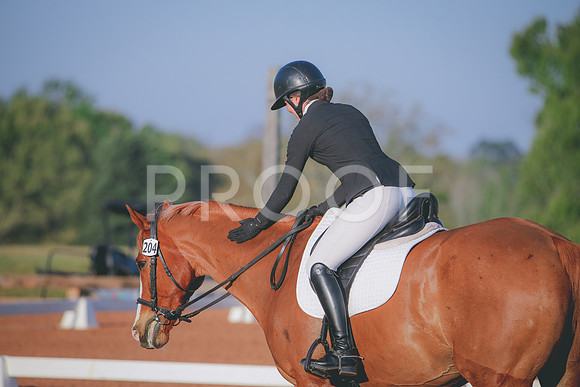 RWP_0393