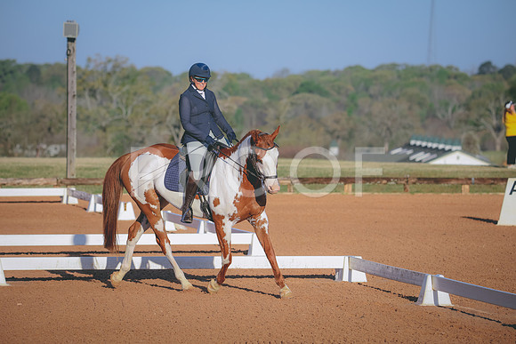 RWP_0438
