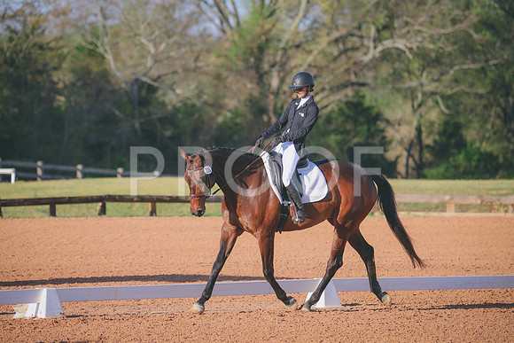 RWP_0456