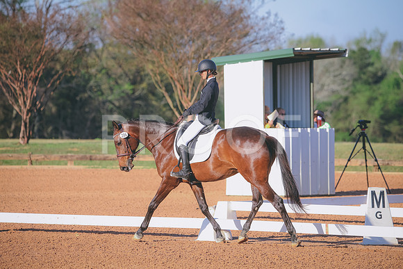 RWP_0453