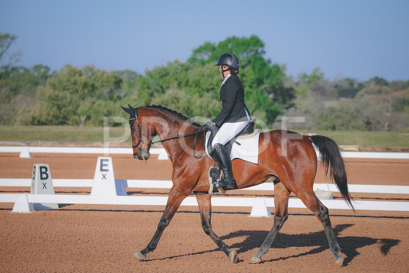RWP_0534