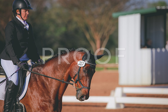 RWP_0541