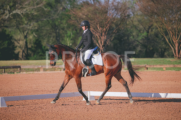 RWP_0535