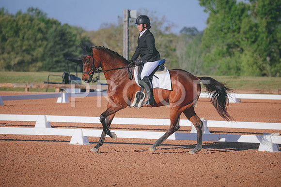 RWP_0550