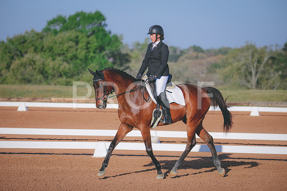 RWP_0558