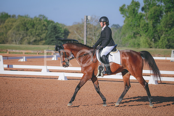 RWP_0565