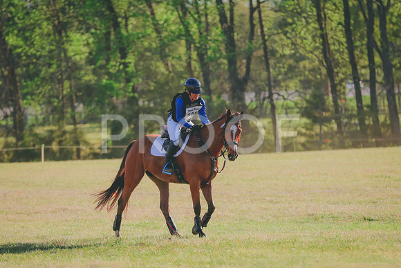 BYR_1919