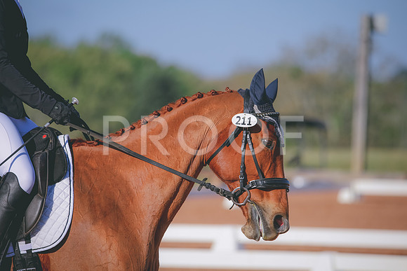 RWP_0826