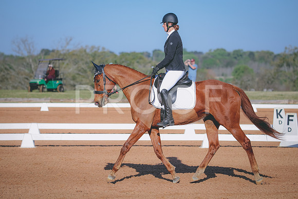 RWP_0819