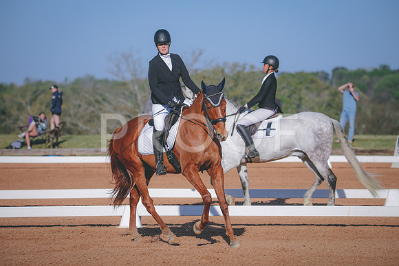 RWP_0851