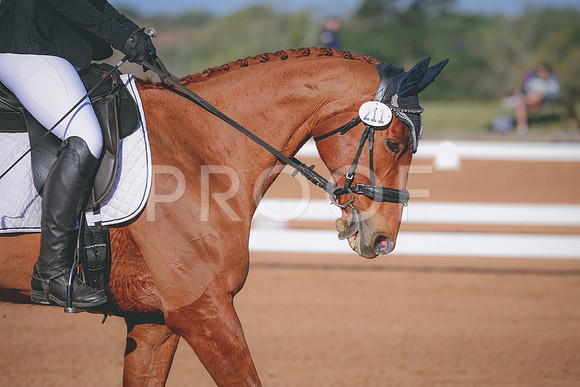 RWP_0857