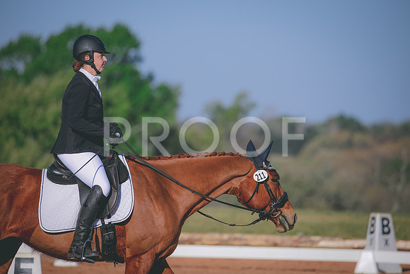 RWP_0875