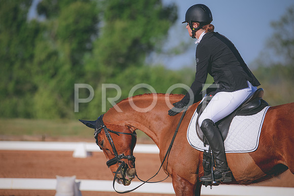 RWP_0873