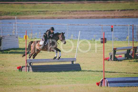 RWP_4831