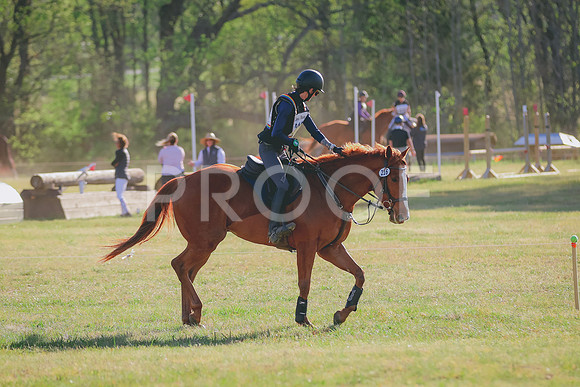 BYR_3954