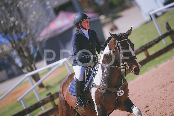 DSC_8192