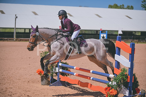 DSC_7721