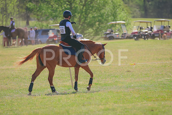 BYR_8495