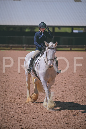 DSC_0323