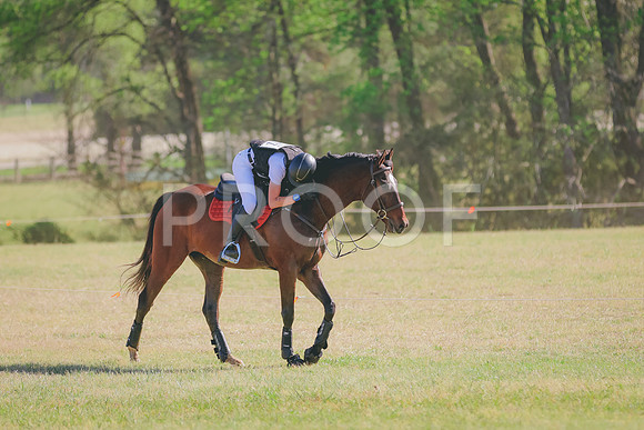 BYR_0328