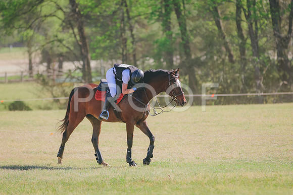 BYR_0329