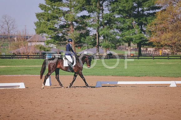 AJ6A6529
