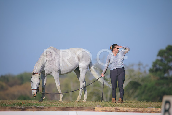 RWP_0959