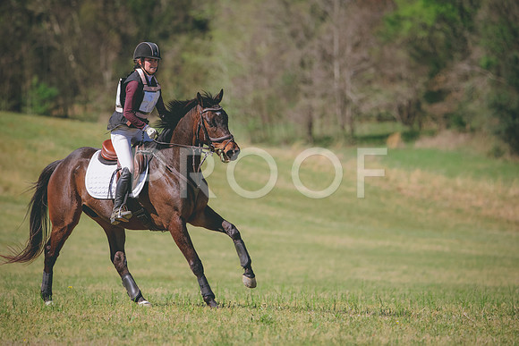 RWP_5977