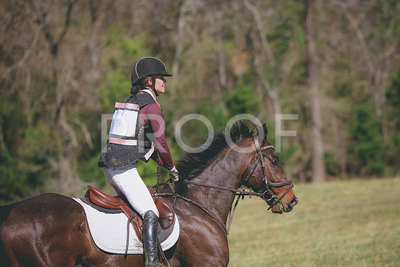 RWP_5988