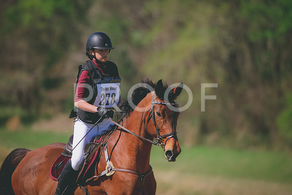 RWP_6049