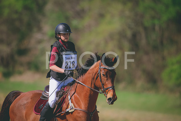 RWP_6050