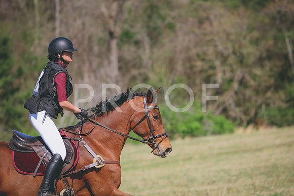 RWP_6059