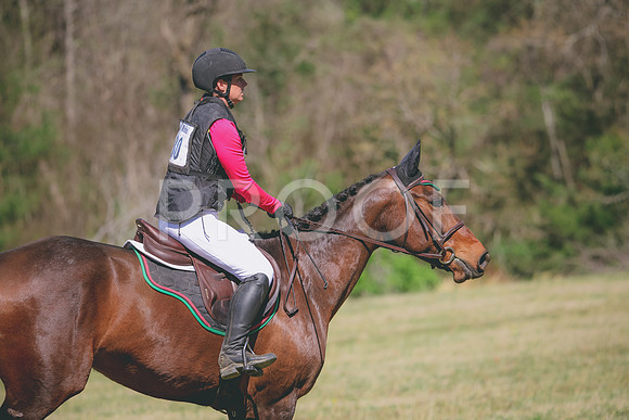 RWP_6098