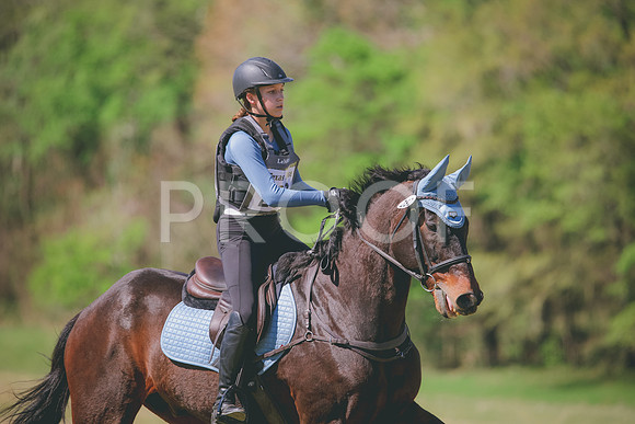 RWP_6141