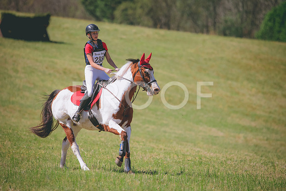 RWP_6233