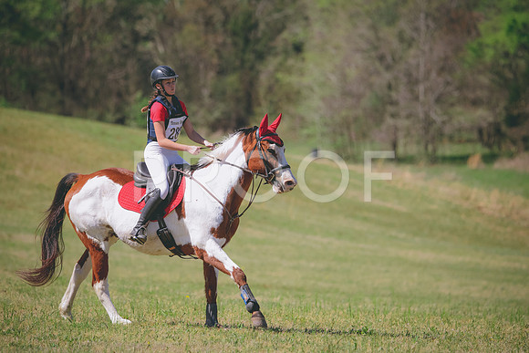 RWP_6234
