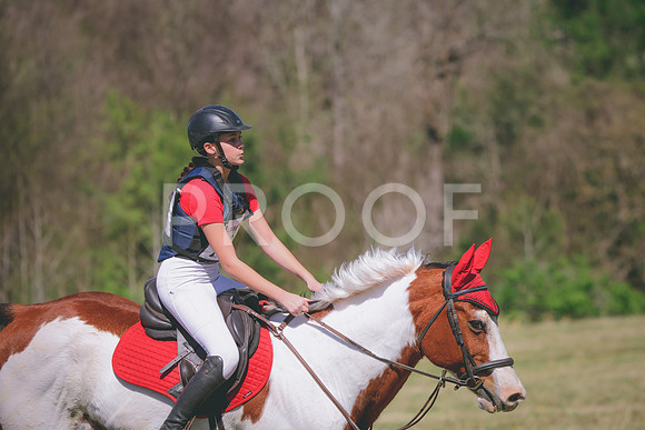 RWP_6243