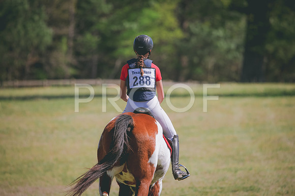 RWP_6244