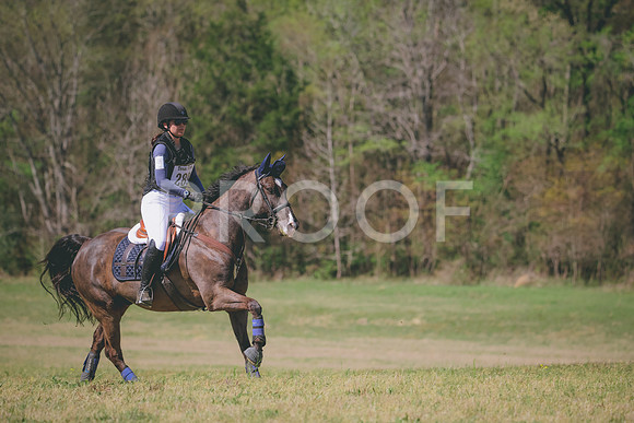 RWP_6252