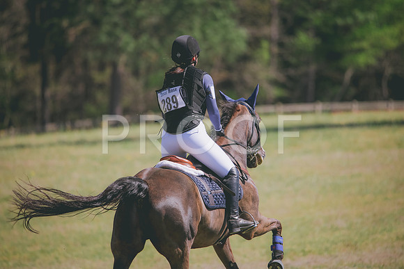 RWP_6264