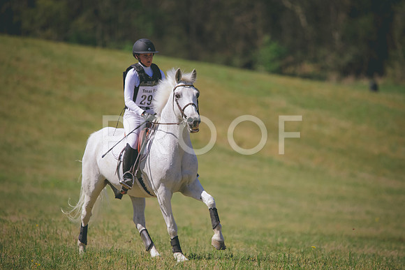 RWP_6267