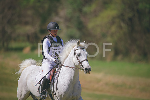 RWP_6270
