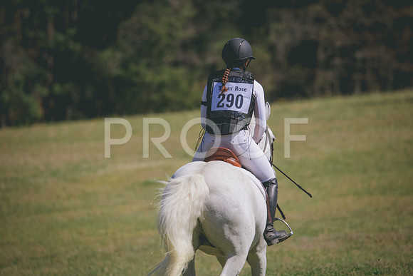 RWP_6284