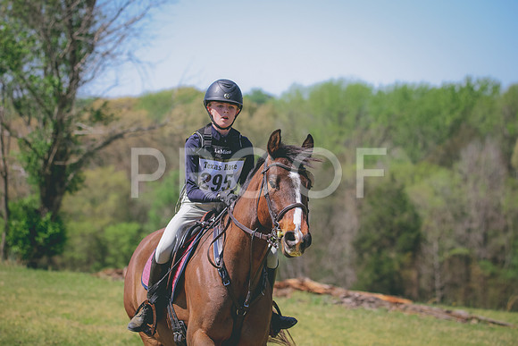 RWP_6331